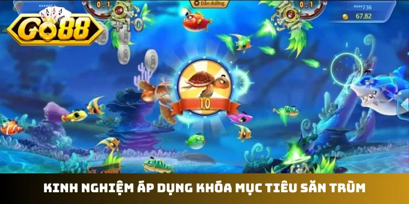 Kinh nghiệm áp dụng khóa mục tiêu săn trùm