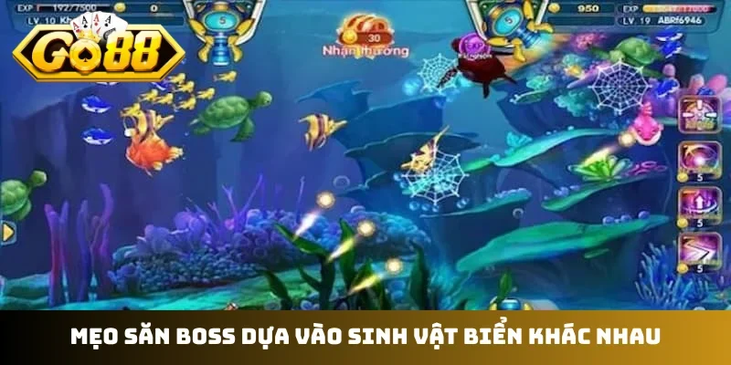 Mẹo săn boss dựa vào sinh vật biển khác nhau