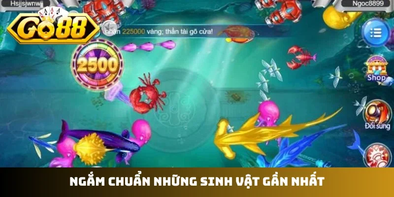 Ngắm chuẩn những sinh vật gần nhất