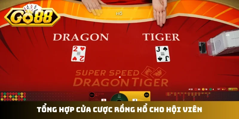 Tổng hợp cửa cược rồng hổ cho hội viên