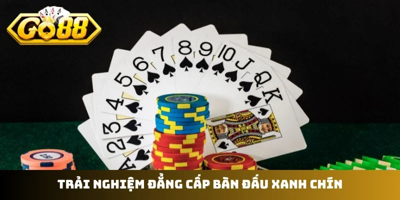 Trải nghiệm đẳng cấp bàn đấu xanh chín